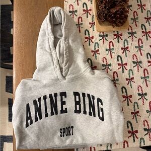 Anine Bing Gray Hoodie